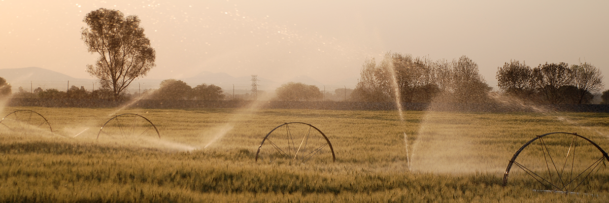 Política de Seguridad de la Información